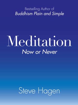 cover image of Meditation Now or Never